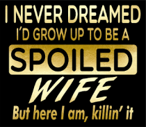 Spoiled Wife HTV Soft Metallic