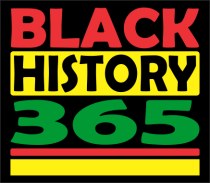 Black History 365 Digital Print Vinyl Transfer