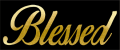 Blessed HTV Soft Metallic